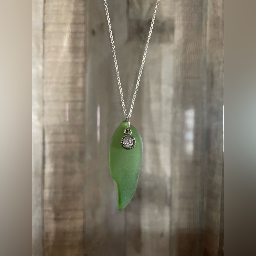 Montana Yellowstone River Glass Necklace